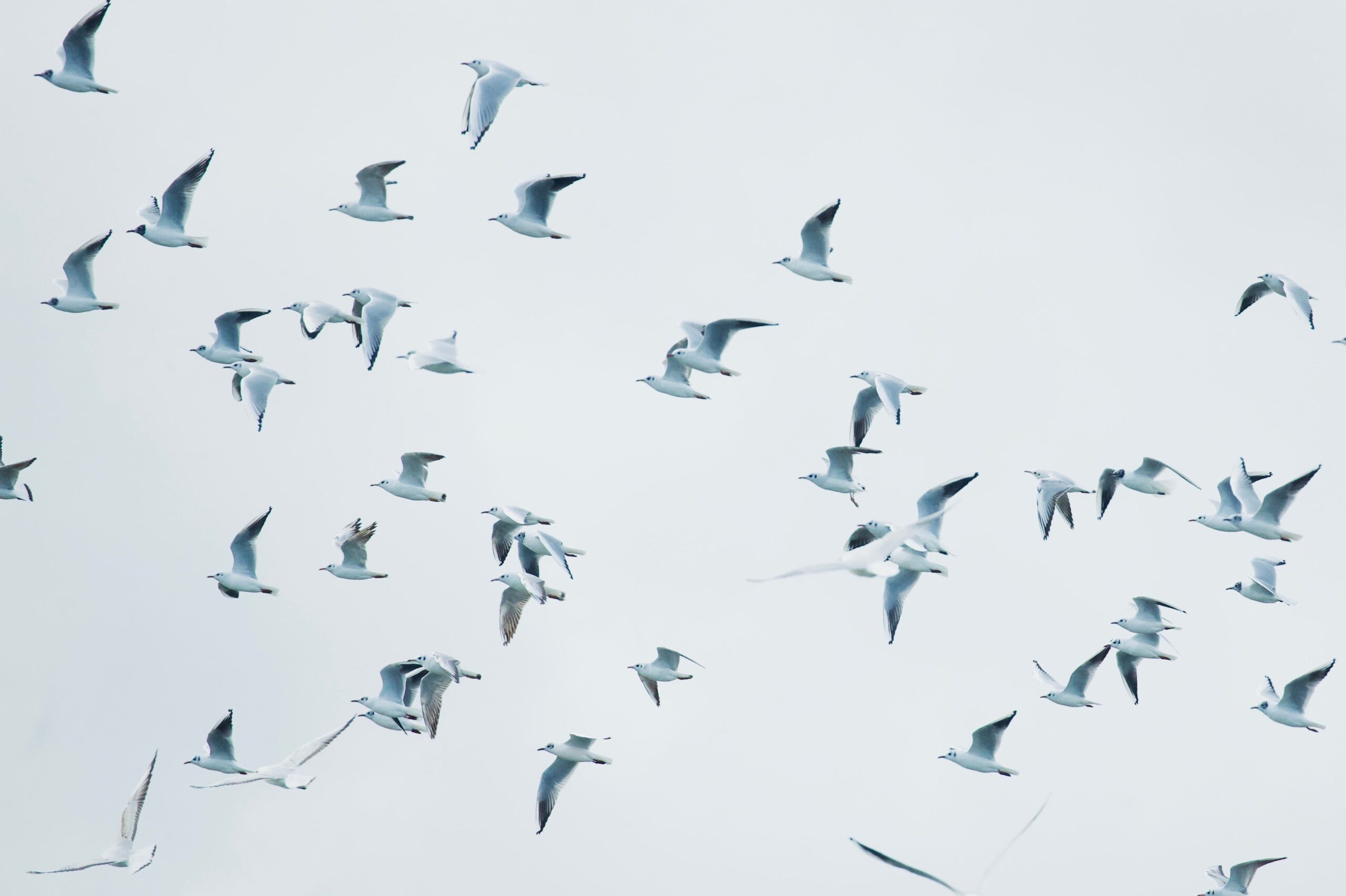 Photo by James Wainscoat on Unsplash