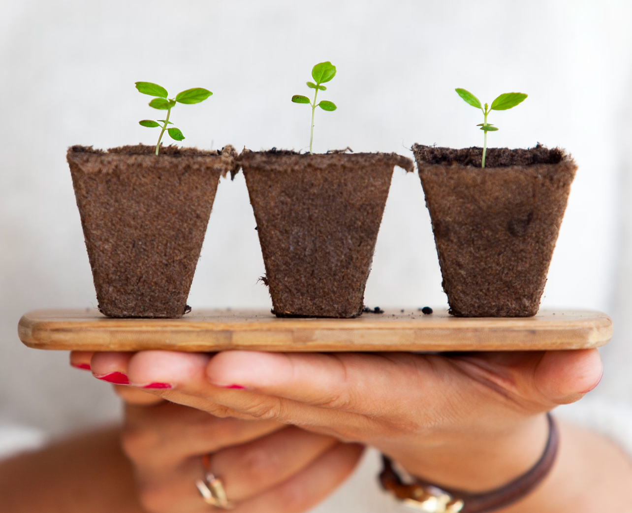 Picture by articstudios on Unsplash