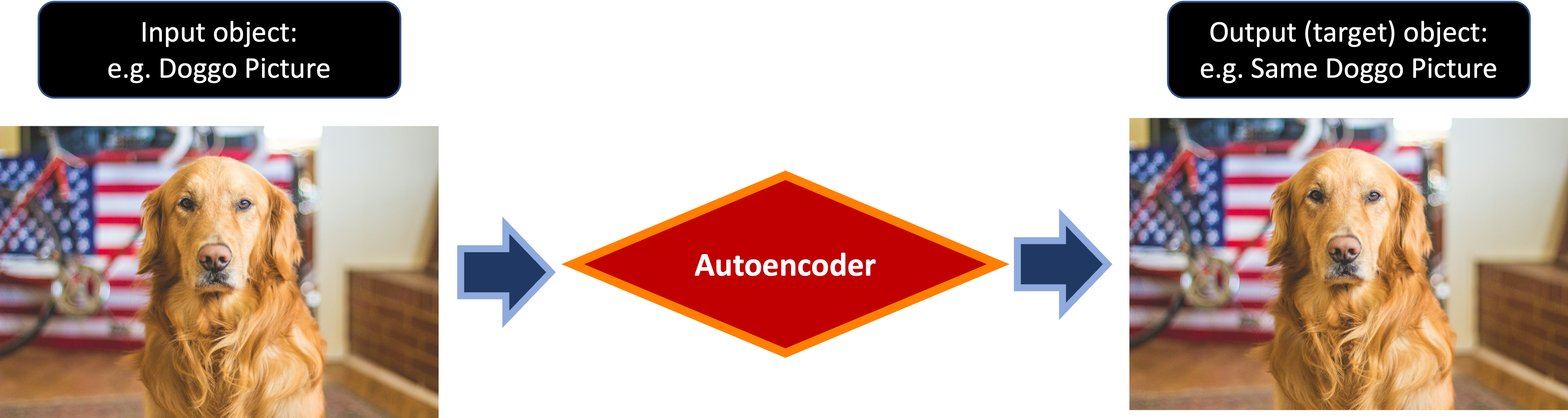 Image made by author, doggo's photo by Caleb Fisher on Unsplash