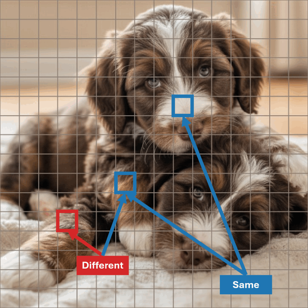 Figure 2. Two puppies with patches on different and same "objects"