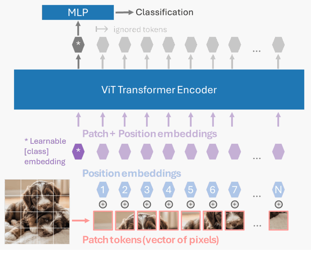 Figure 1. ViT Architecture Diagram